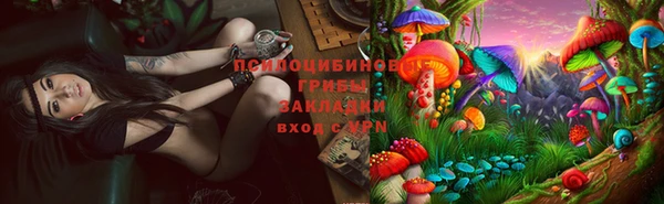 ГАЛЛЮЦИНОГЕННЫЕ ГРИБЫ Богородицк
