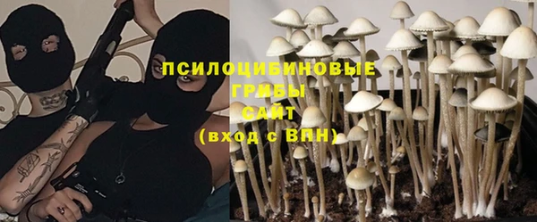 прущая мука Богородск