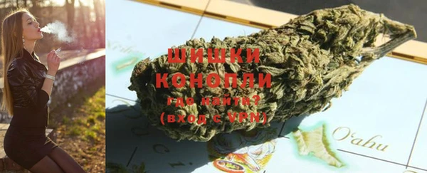 гашик Белокуриха
